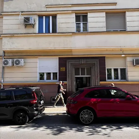 Viol Novi Sad